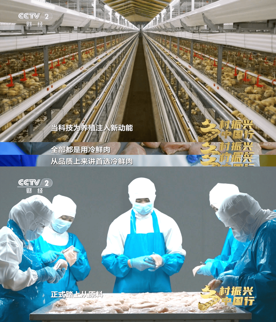 央视探访皇家小虎华北超级工厂解码美味烤肠