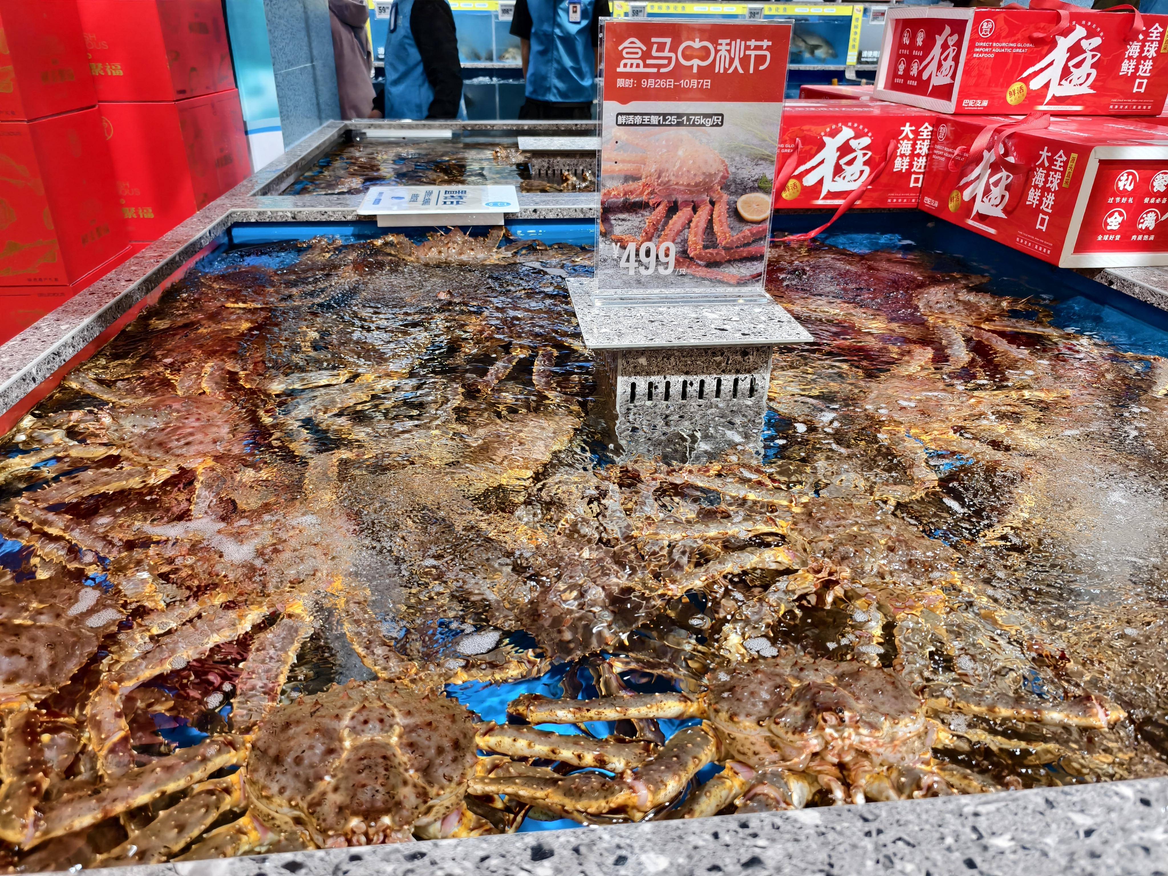 盒区房扩容超60城 帝王蟹、东星斑引领长